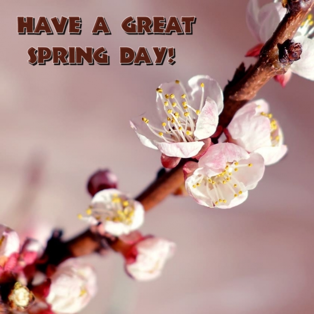 Have a great spring day!