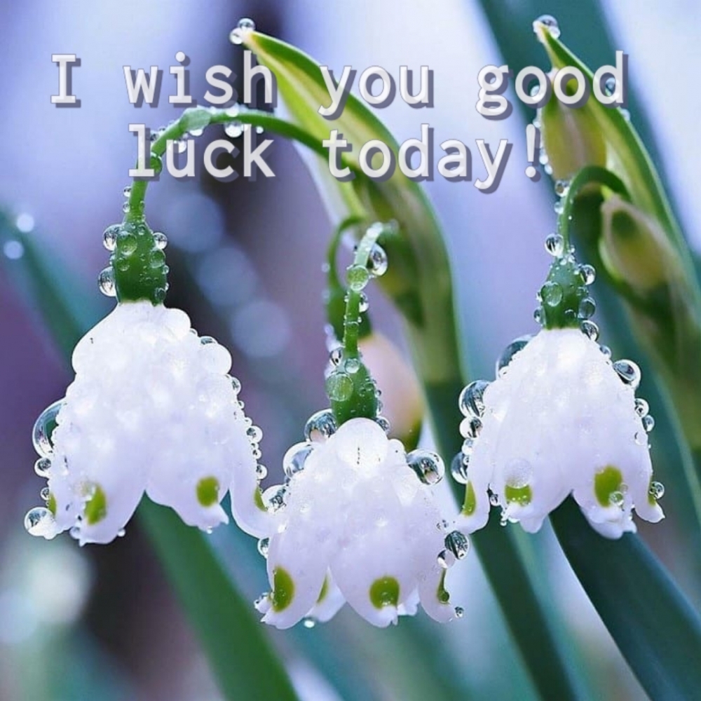 I wish you good luck today!