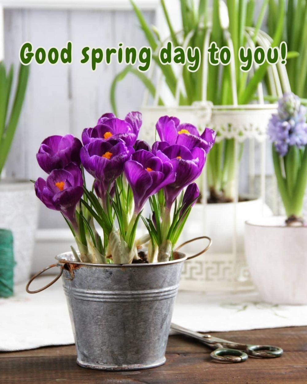 Good spring day to you!