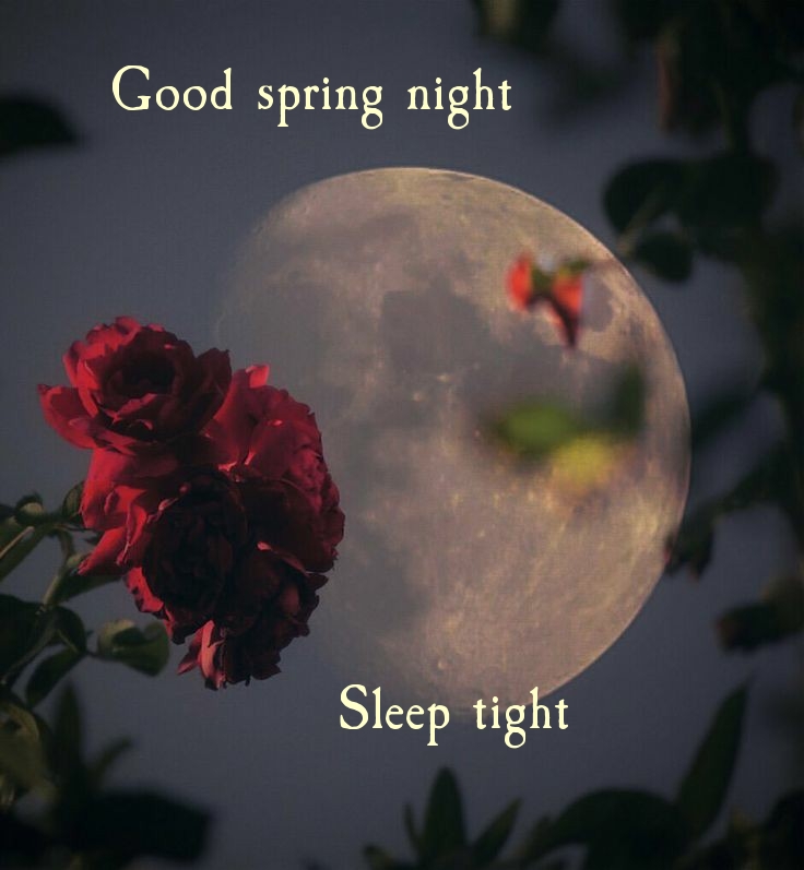 Good spring night Sleep tight