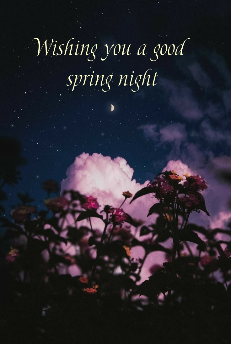 Wishing you a good spring night