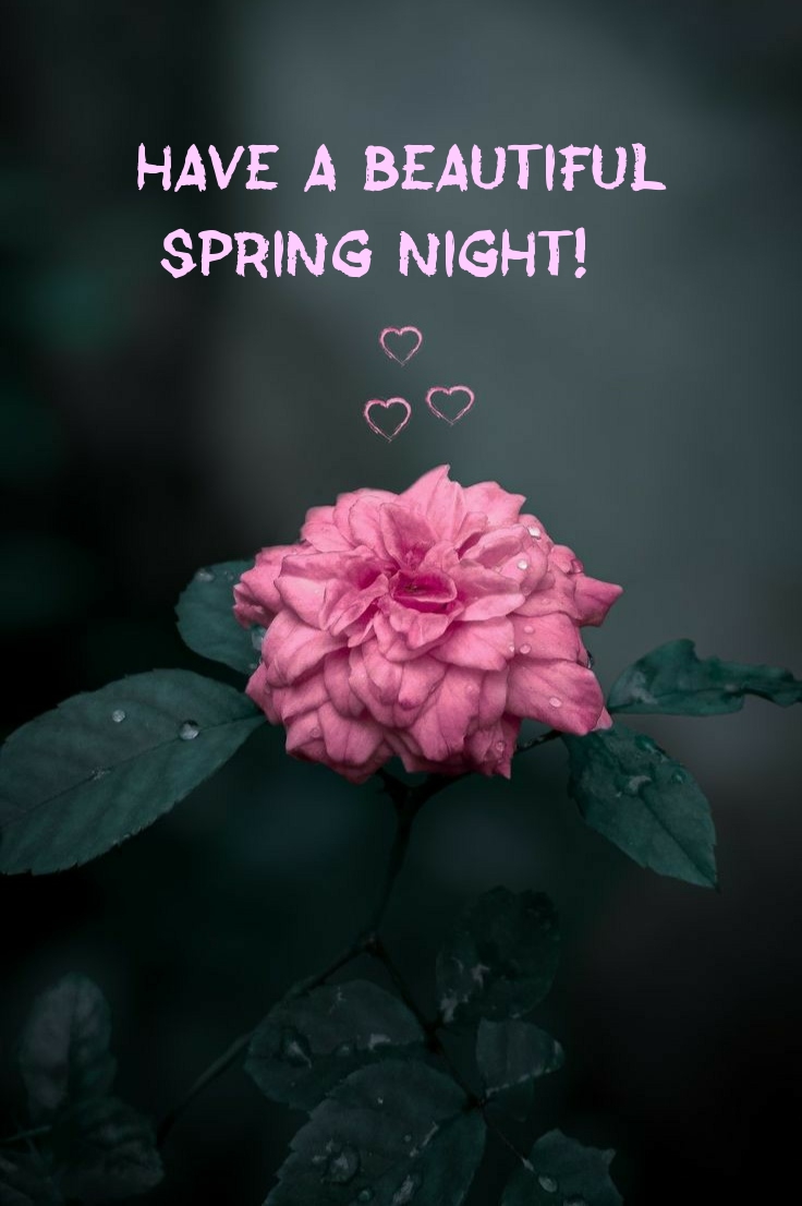 Have a beautiful spring night!