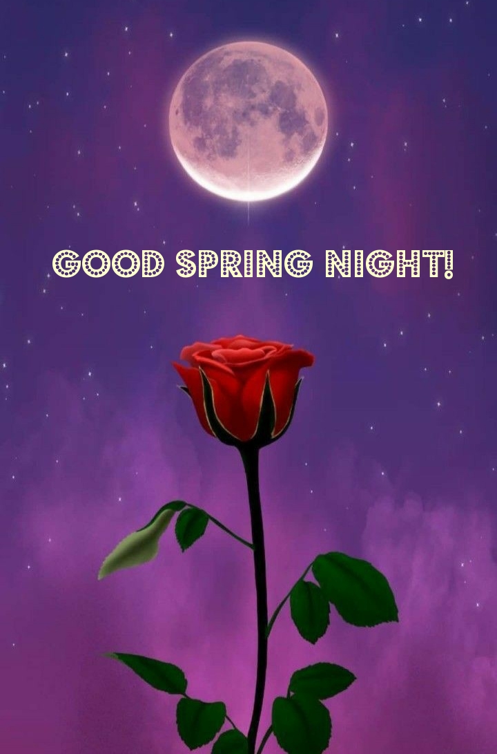 Good spring night!
