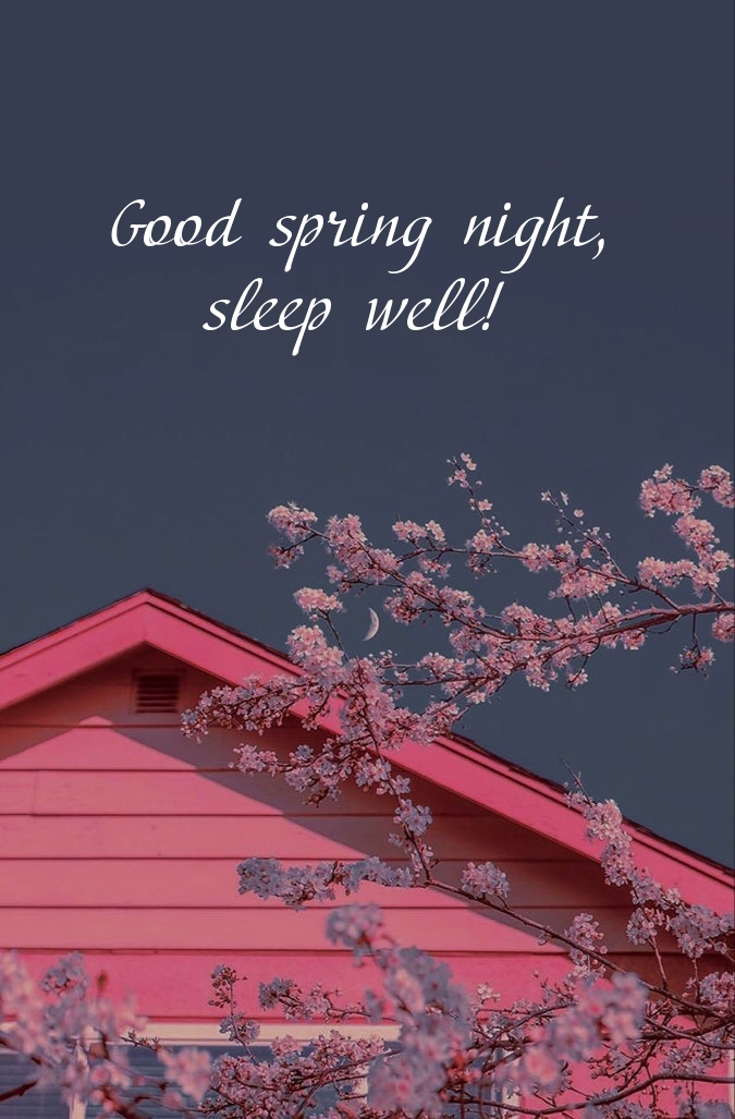 Good spring night, sleep well!