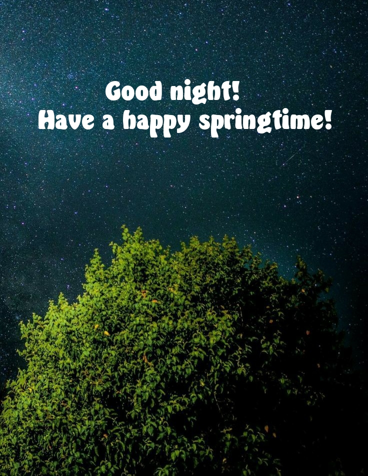 Good night! Have a happy springtime!