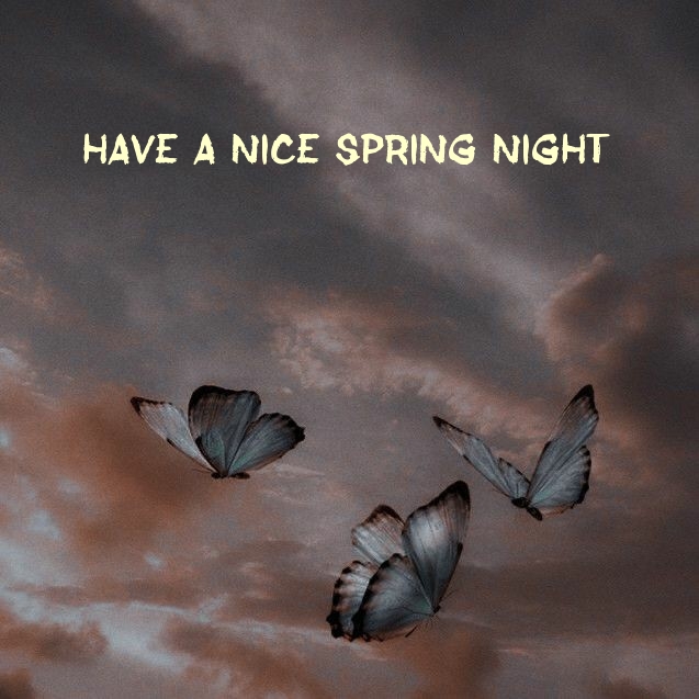 Have a nice spring night