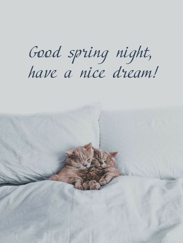 Good spring night, have a nice dream!