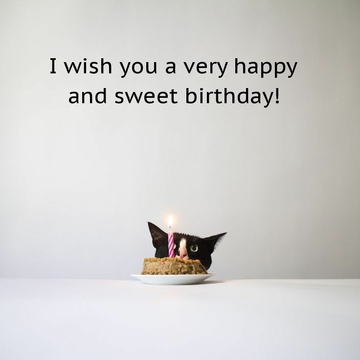 I wish you a very happy and sweet birthday!