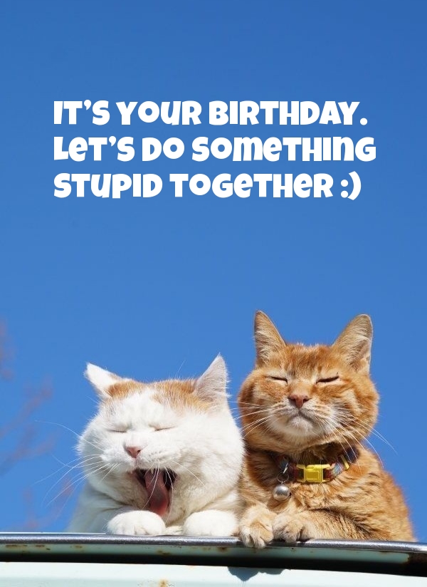 It's your birthday. Let's do something stupid together :) 