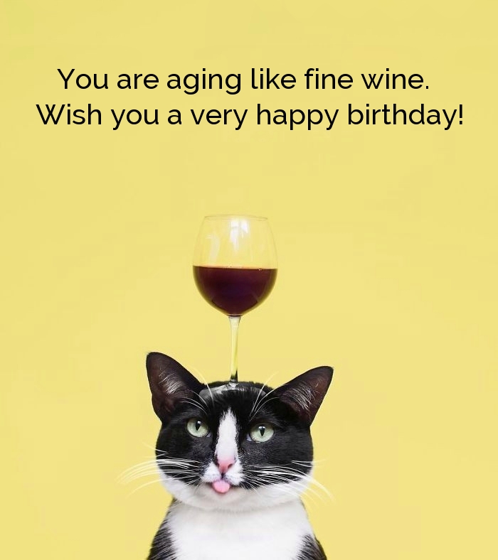 You are aging like fine wine. Wish you a very happy birthday! 