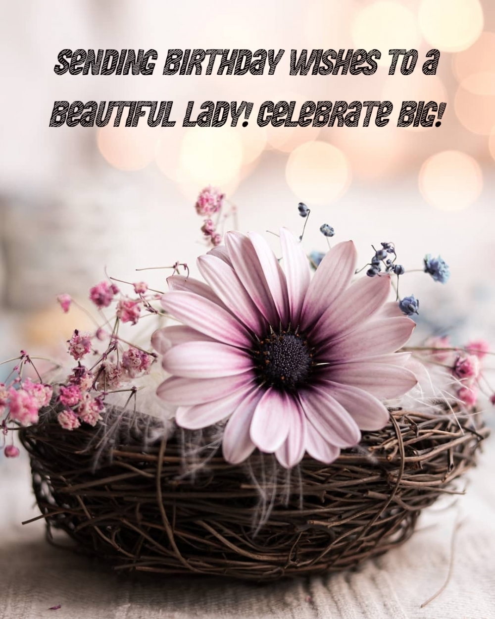 Picture: Hey beautiful lady, wishing you a fabulous birthday today!