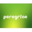 Images names Peregrine