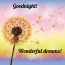 Goodnight! Wonderful dreams!